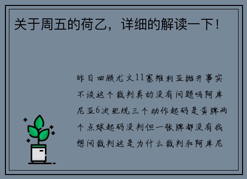 关于周五的荷乙，详细的解读一下！